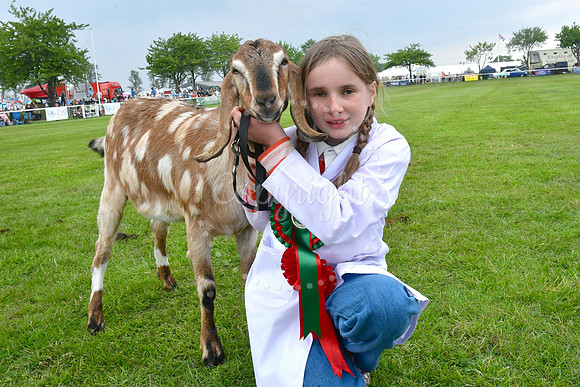 Nottingham County Show