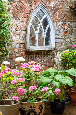 BFP Bury St Edmunds town centreHidden Gardens of Bury St Edmund