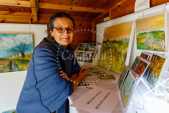 Harleston & Waveney Art Trail