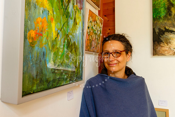 Harleston & Waveney Art Trail