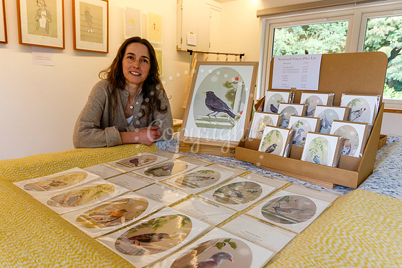 Harleston & Waveney Art Trail
