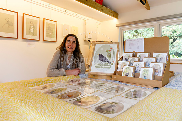 Harleston & Waveney Art Trail