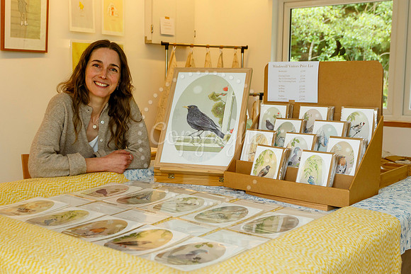 Harleston & Waveney Art Trail