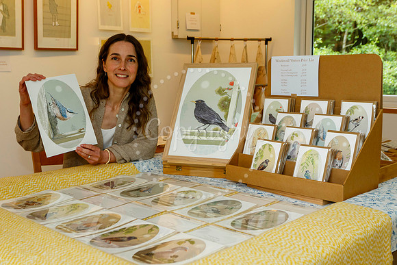 Harleston & Waveney Art Trail