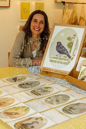 Harleston & Waveney Art Trail