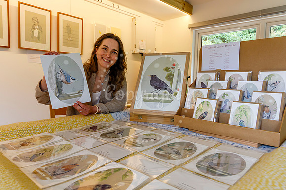 Harleston & Waveney Art Trail