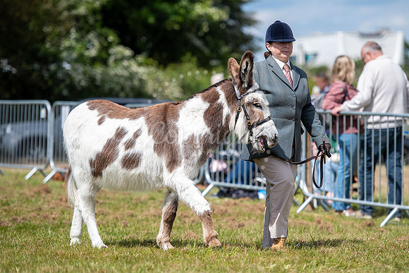 SFP Holbecks Park, Hadleigh, Suffolk,187th Hadleigh Show. Pictu