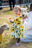 SFP Holbecks Park, Hadleigh, Suffolk,187th Hadleigh Show. Pictu