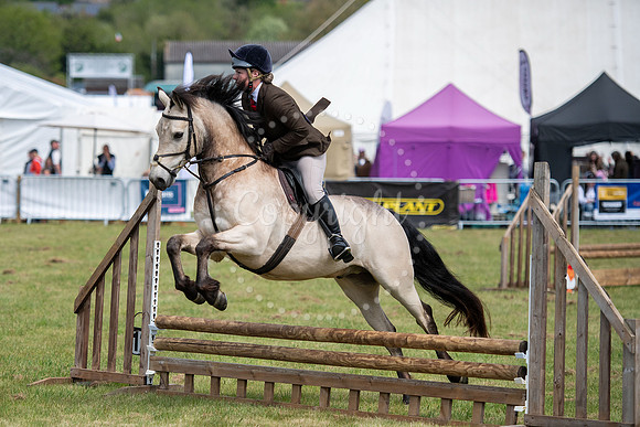 SFP Holbecks Park, Hadleigh, Suffolk,187th Hadleigh Show. Pictu