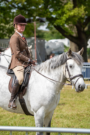 SFP Holbecks Park, Hadleigh, Suffolk,187th Hadleigh Show. Pictu