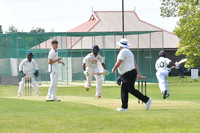 Collingham 1st XI cricket