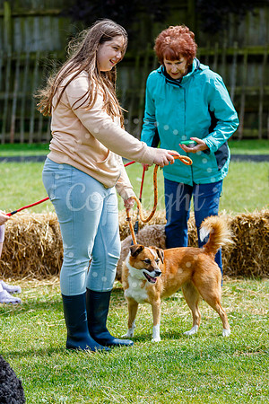 Gislingham Summer Fair held at Primary School field