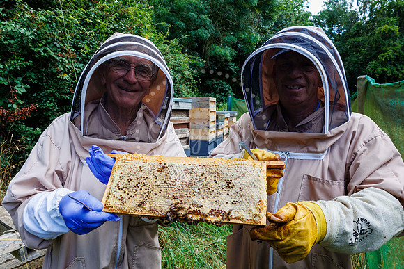 Starston Community Bee Group is celebrating 10 years
