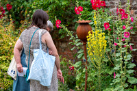 BFP Bury St Edmunds town centreHidden Gardens of Bury St Edmund