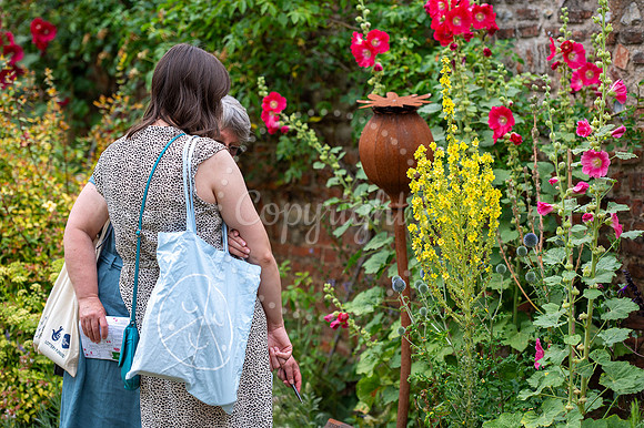 BFP Bury St Edmunds town centreHidden Gardens of Bury St Edmund