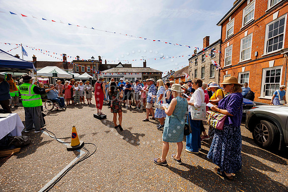 Framlingham Climate Day
