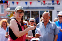 Framlingham Climate Day
