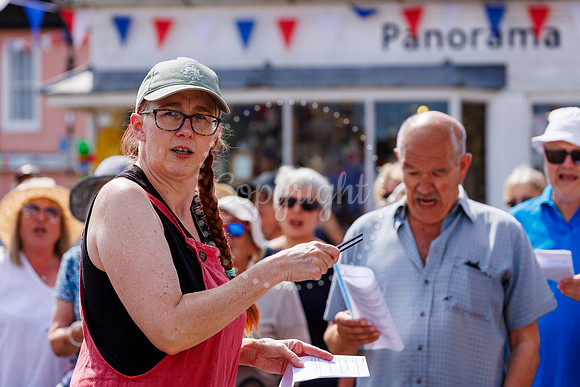 Framlingham Climate Day