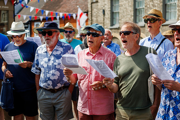 Framlingham Climate Day