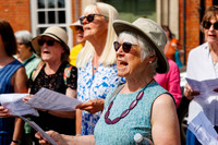 Framlingham Climate Day