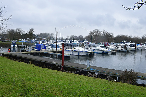 Farndon Marina