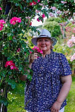 Peter Beales Rose Festival