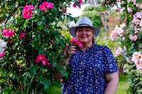 Peter Beales Rose Festival