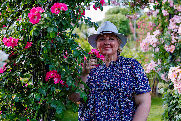 Peter Beales Rose Festival