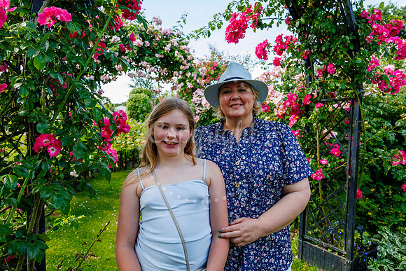 Peter Beales Rose Festival