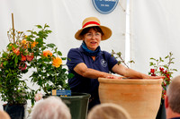 Peter Beales Rose Festival