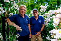Peter Beales Rose Festival