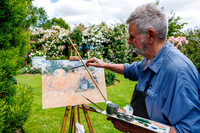 Peter Beales Rose Festival