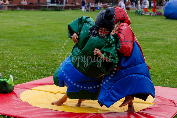 Worlingworth Summer Fair and Bounce Fest