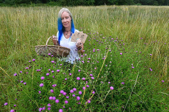 The Wildflower Witch