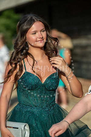BFP Thurston College Prom 2026 Blackthorpe Barn. Picture Mark We