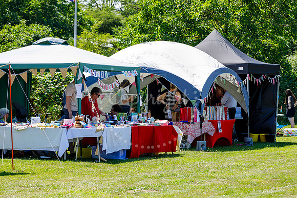 Dickleburgh Festival