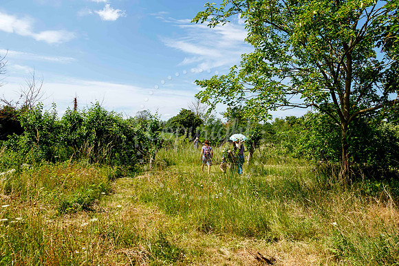 Opening of Dove Meadow