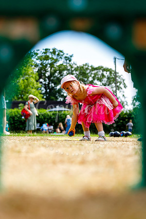 Dickleburgh Festival