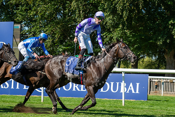 NJ July Cup Day Newmarket July Course. Al Basti Equiworld, Dubai