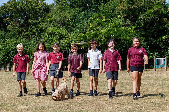 Bressingham Primary School Dog Waffle