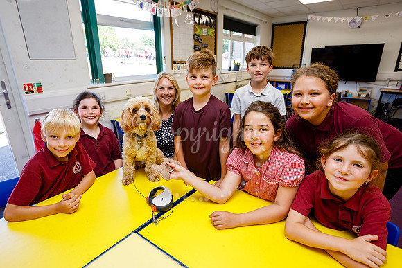 Bressingham Primary School Dog Waffle