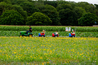 The Pulham Patch