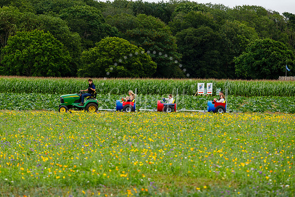 The Pulham Patch
