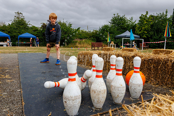 Redlingfield Summer Fair