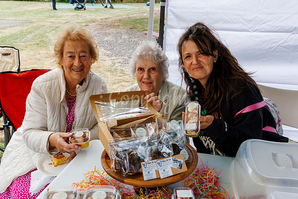 Redlingfield Summer Fair