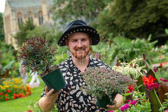 BFP Abbey Gardens, Bury St Edmunds Chris Wiley, Bury in Bloom cv