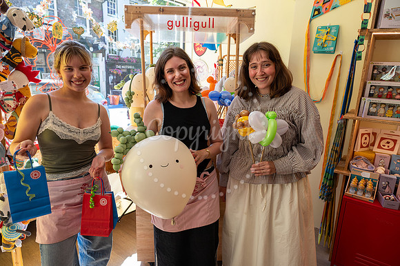 BFP Sugartown Toys, 62 The Traverse, Bury St Edmunds Independent