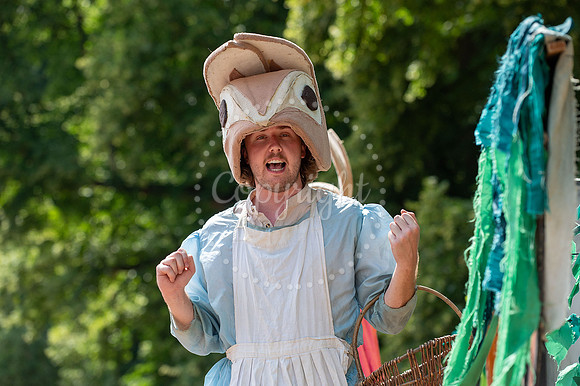 BFP Nowton Park Theatre in the park - The Tale of Peter Rabbit.
