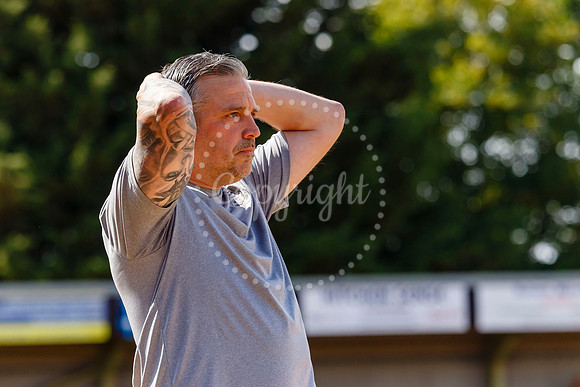 Diss Town v Holbeach United