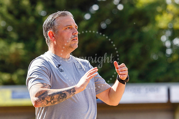 Diss Town v Holbeach United
